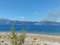 Μεγάλη φωτιά στον Πλατανίτη Ναυπακτίας- ...