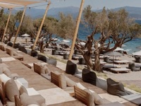 Η γέννηση του Φυsea πρόσθεσε μια ξεχωρισ...