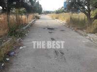 Δεκτή η πρόταση για την σωτηρία του Βιοτ...