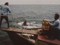 Από 6 Οκτωβρίου 2022 και πάλι στις αίθου...