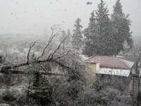 «Κλειδώνει» η νέα επέλαση ψύχους: Πότε θ...