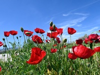 Καιρός σήμερα: Υψηλές θερμοκρασίες με το...