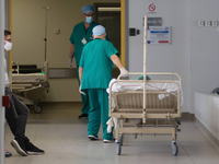 Ν. Τζανάκης και Χ. Γώγος για τις νέες με...