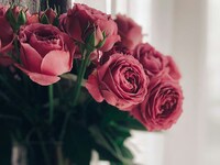 Άγιος Βαλεντίνος: Ακρίβεια και... στον έρωτα