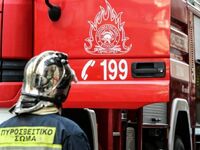 Νέα αναζωπύρωση στο Τρούπι Ευβοίας- ΒΙΝΤΕΟ