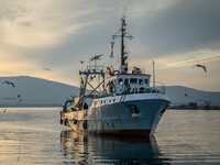 Ναυτικοί κόλλησαν κορωνοϊό ενώ ήταν 35 η...