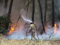 Πρωταθλήτρια στις φωτιές η Ηλεία- Στην π...