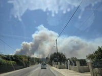 Αχαΐα ΤΩΡΑ: Φωτιά στον Ερύμανθο - Γιγάντ...