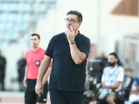 Παναθηναϊκός: Τέλος ο Ρουί Βιτόρια μετά ...