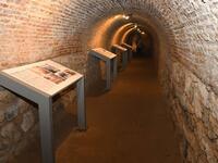 Πάτρα: Πολλά σχολεία και σύλλογοι προσέρ...