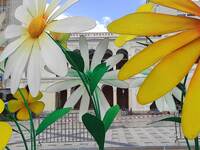 Πάτρα: Η πλατεία Γεωργίου γέμισε με μαργαρίτες