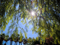 Καιρός: «Ευχάριστη έκπληξη την Μεγάλη Εβδομάδα»