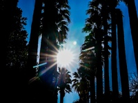 Καιρός Συνεχίζονται οι ανοιξιάτικες ημέρ...