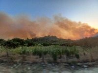 Φωτιά στα Κρέστενα: Μαίνεται σε τρία μέτ...