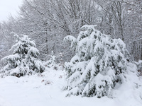 Καιρός: Επικαιροποίηση του έκτακτου δελτ...