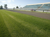 Μεσολόγγι: Δρομέας ξεψύχησε στο στάδιο