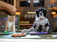 Στις 29 Οκτωβρίου στις αίθουσες η παιδικ...