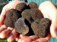 Καλαμπάκα: Και επίσημα «Πόλη της Τρούφας...