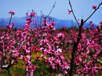 Πάτρα: Το «ασανσέρ» του καιρού τη Μεγάλη...