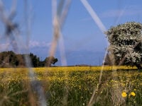 Ανοιξιάτικο Πάσχα με λιακάδα! Τι λέει ο ...