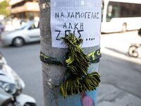 Δολοφονία Άλκη: Άλλες τέσσερις συλλήψεις...