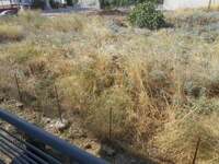Στις 702.000 οι δηλώσεις καθαρισμών των ...