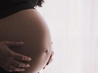 Μ.Θεοδωρίδου: Σημαντικός και ασφαλής ο ε...