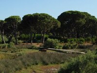 Οι περιοχές της Περιφέρειας Δυτικής Ελλά...