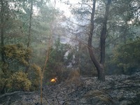 Η επίσημη ανακοίνωση για τη σύλληψη 23χρ...