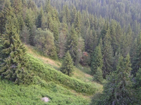 Προδιαγεγραμμένη καύση: Το νέο μοντέλο π...