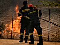 Πάτρα: Φωτιά τα ξημερώματα στην Εγλυκάδα