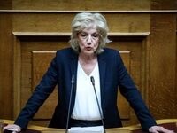 Παρέμβαση Σίας Αναγνωστοπούλου για τη συ...