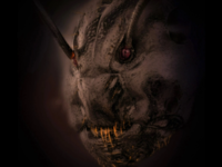 Η φωτογραφία από το κεφάλι ενός... μυρμη...