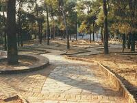 Το Δασύλλιο της Πάτρας που είναι αντίστο...