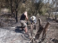 Φωτιές: Το ΥΠΕΝ αμφισβητεί τα στοιχεία γ...