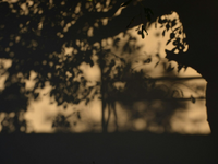 Οινόη Ηλείας: 33χρονος βρέθηκε νεκρός στ...