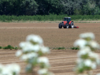 Νέοι αγρότες - Πληρωμές: Ολοκληρώθηκαν ο...