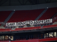 Λυών-ΠΑΟΚ: Το πανό στην κερκίδα των φιλο...