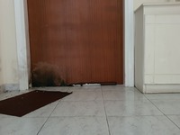 Πάτρα: Συνελήφθη ο άνδρας που χτύπησε τη...