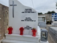 Λέων: Ελλιπείς και άστοχες οι ιατροδικασ...