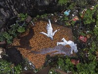 Ο Νορβηγός Anders Gjennestad στην Πάτρα ...