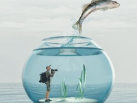 Ξεκινά το 7o Διεθνές Φεστιβάλ Ντοκιμαντέ...