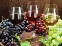 Περιφέρεια Δυτικής Ελλάδας: “Προώθηση οί...