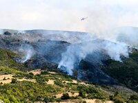 Καλύτερη η εικόνα της πυρκαγιάς στην Άνω...