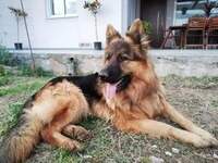 Πάτρα: Ο «Άρης» χάθηκε στο Μπεγουλάκι