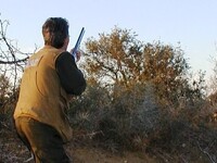 Σοκ στην Αρκαδία: Κυνηγός από τον Πύργο…...