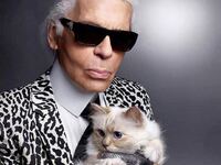 Choupette: Η λατρεμένη γάτα του Karl Lag...