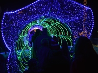 Ο Σκρούτζ, πάει στο Αίγιο και «κρύβει λί...