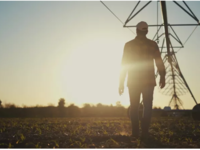 Ξεκίνησε πληρωμές ο ΟΠΕΚΕΠΕ: Στους λογαρ...