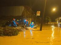 Φιλιππιάδα: Διάσωση αλόγου που παγιδεύτη...